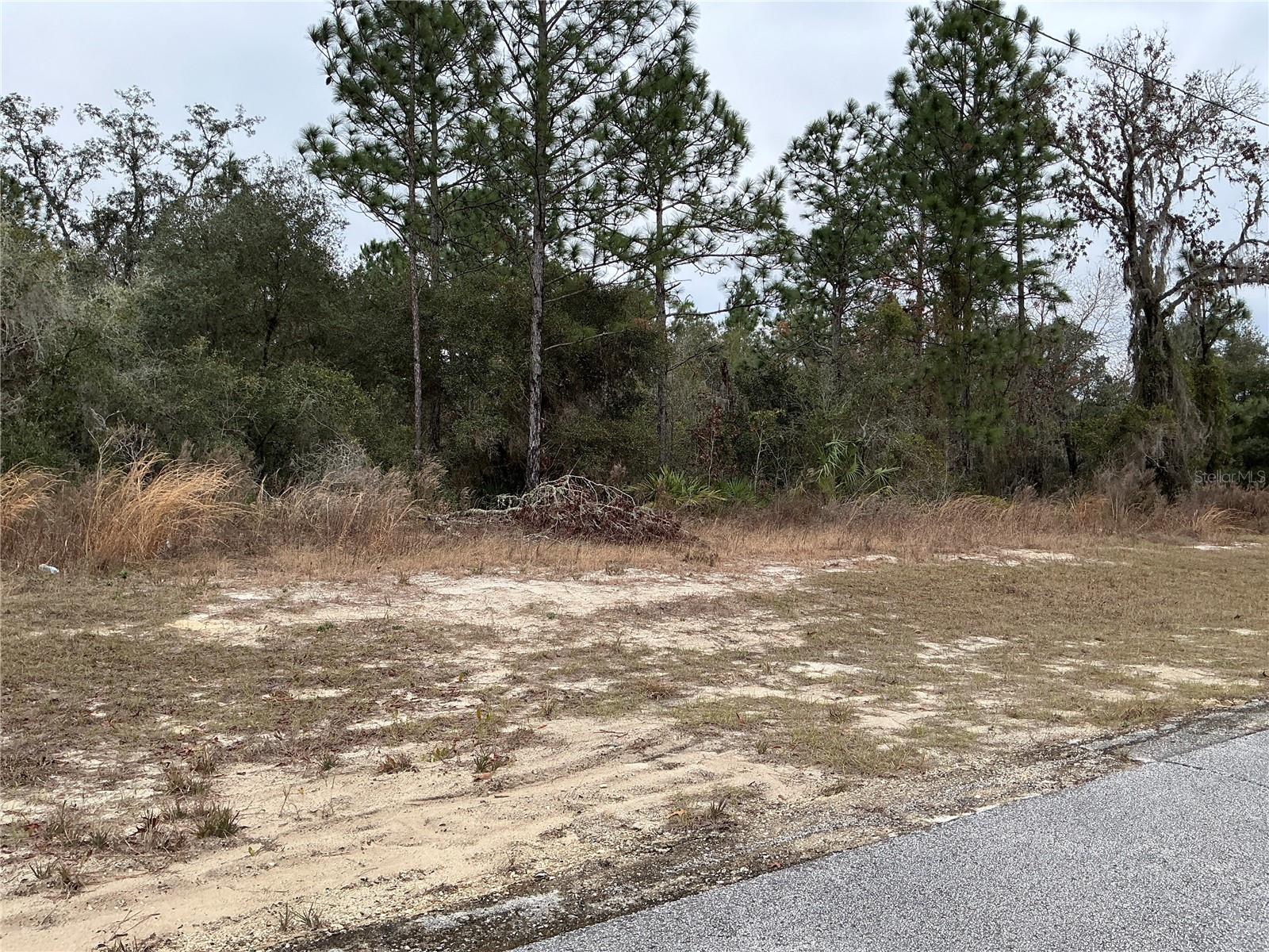LOT 27 SW 77TH AVE photo 3