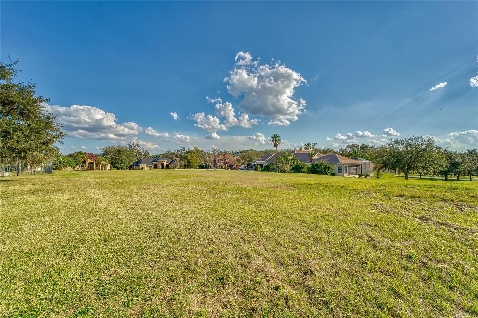 12833 VENTANA CT photo 3