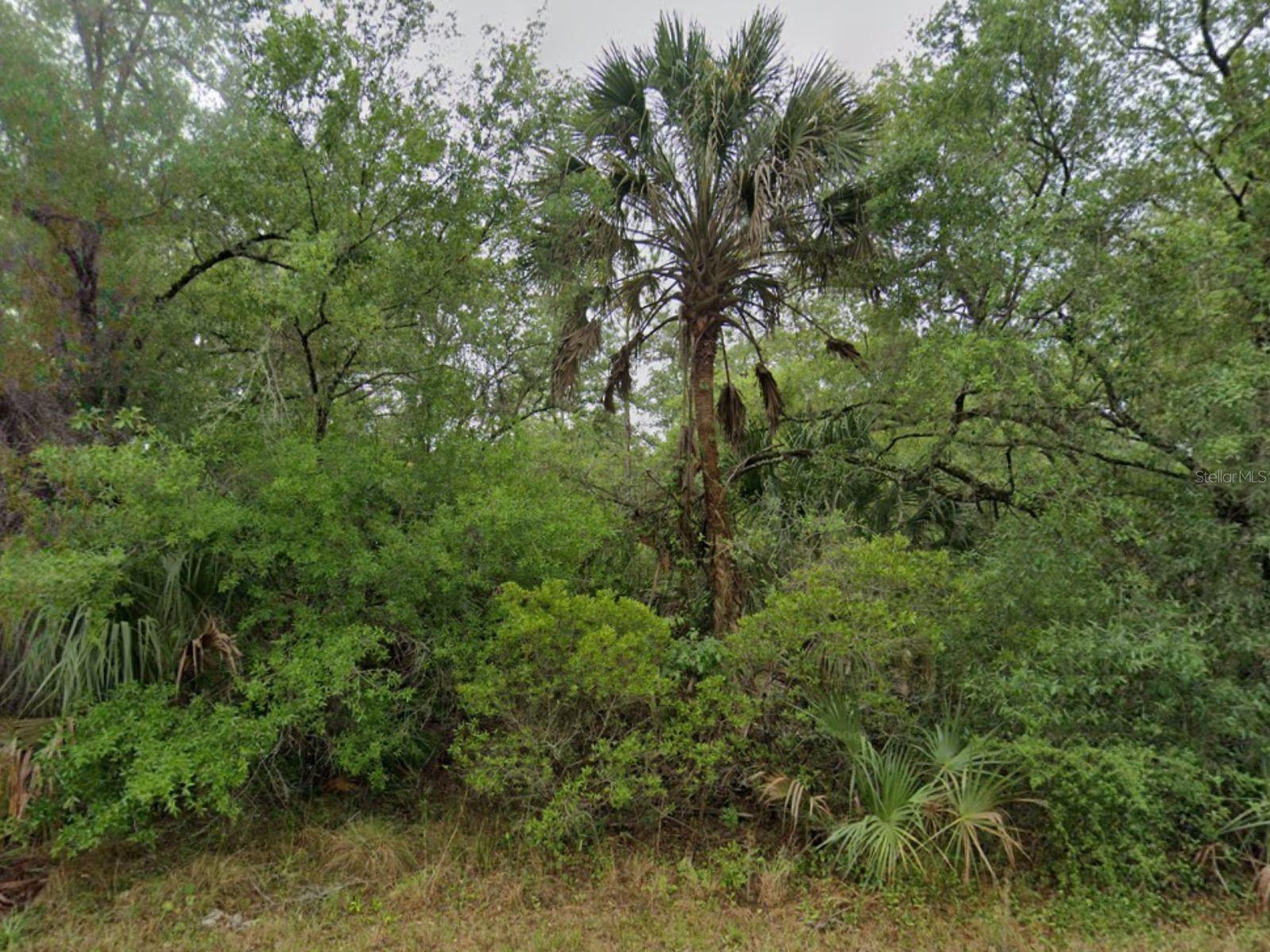 10884 W DUNDERRY PL photo 2
