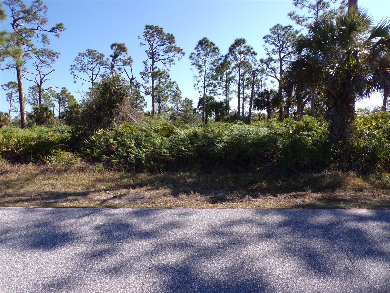 12070 ASHLEY AVE photo 5