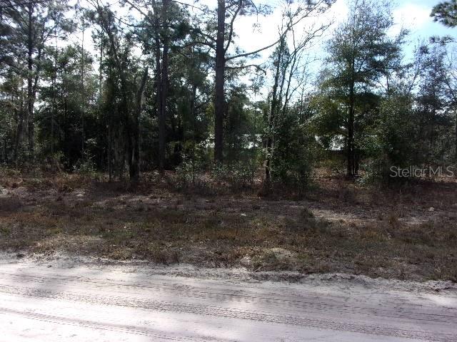SW 18TH PLACE photo 2
