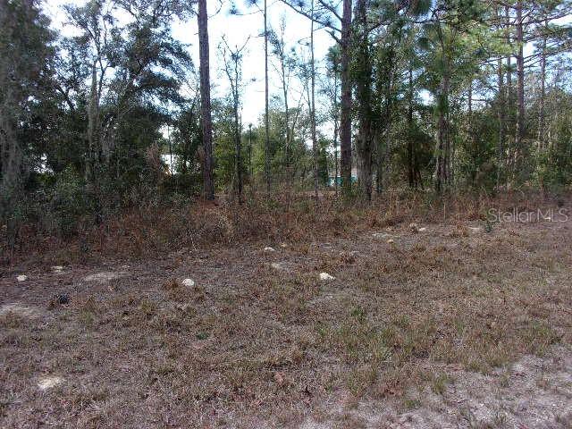 SW 18TH PLACE photo 3