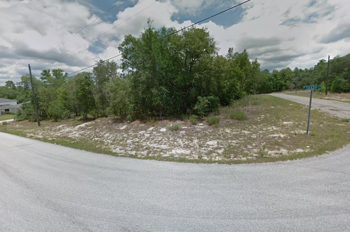 1233 W SHADY LN photo 2
