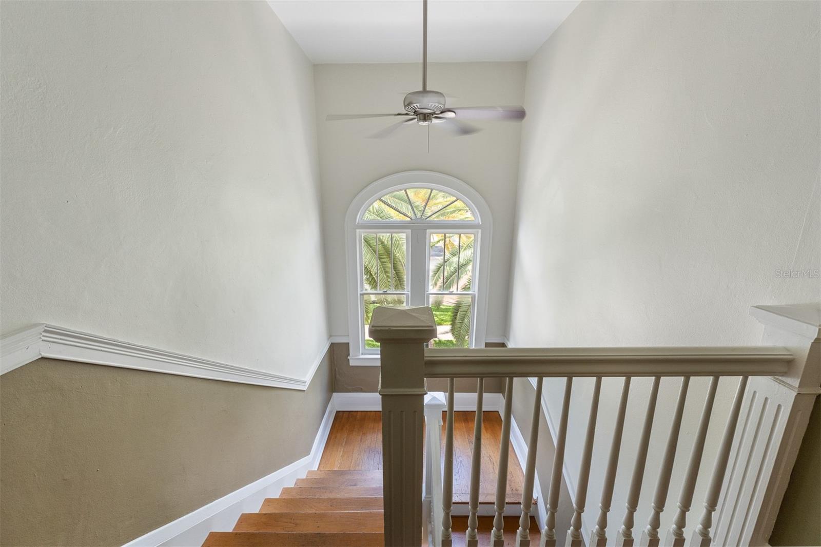 613 E RIDGEWOOD ST #5 photo 4