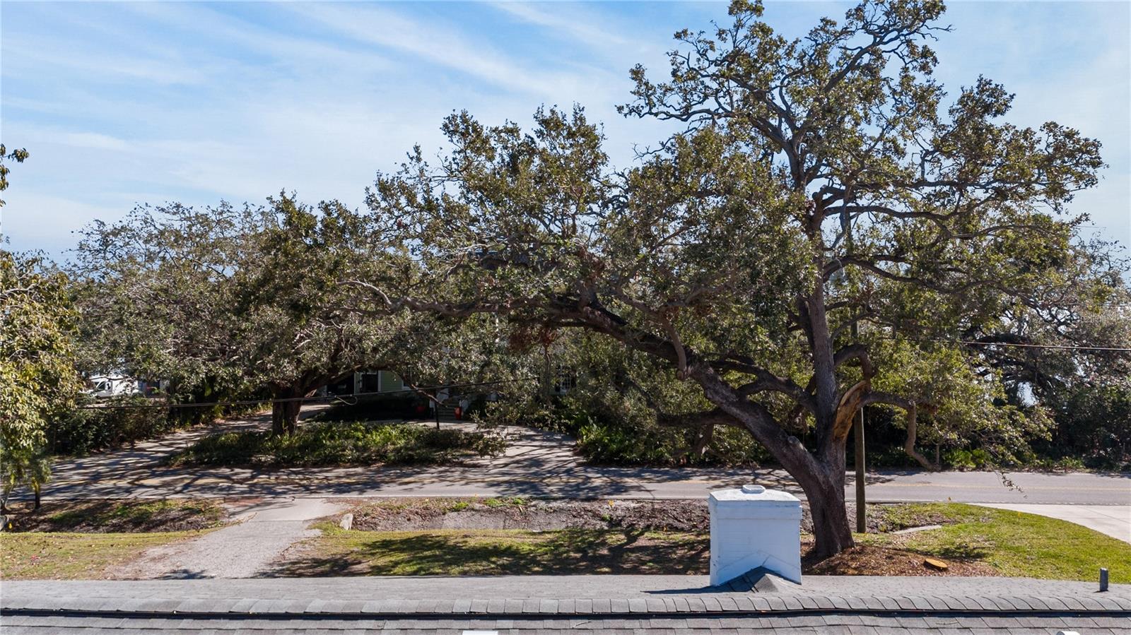 6225 BAYSHORE BLVD photo 4