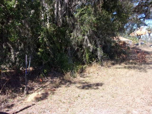 SW 140TH AVENUE photo 2