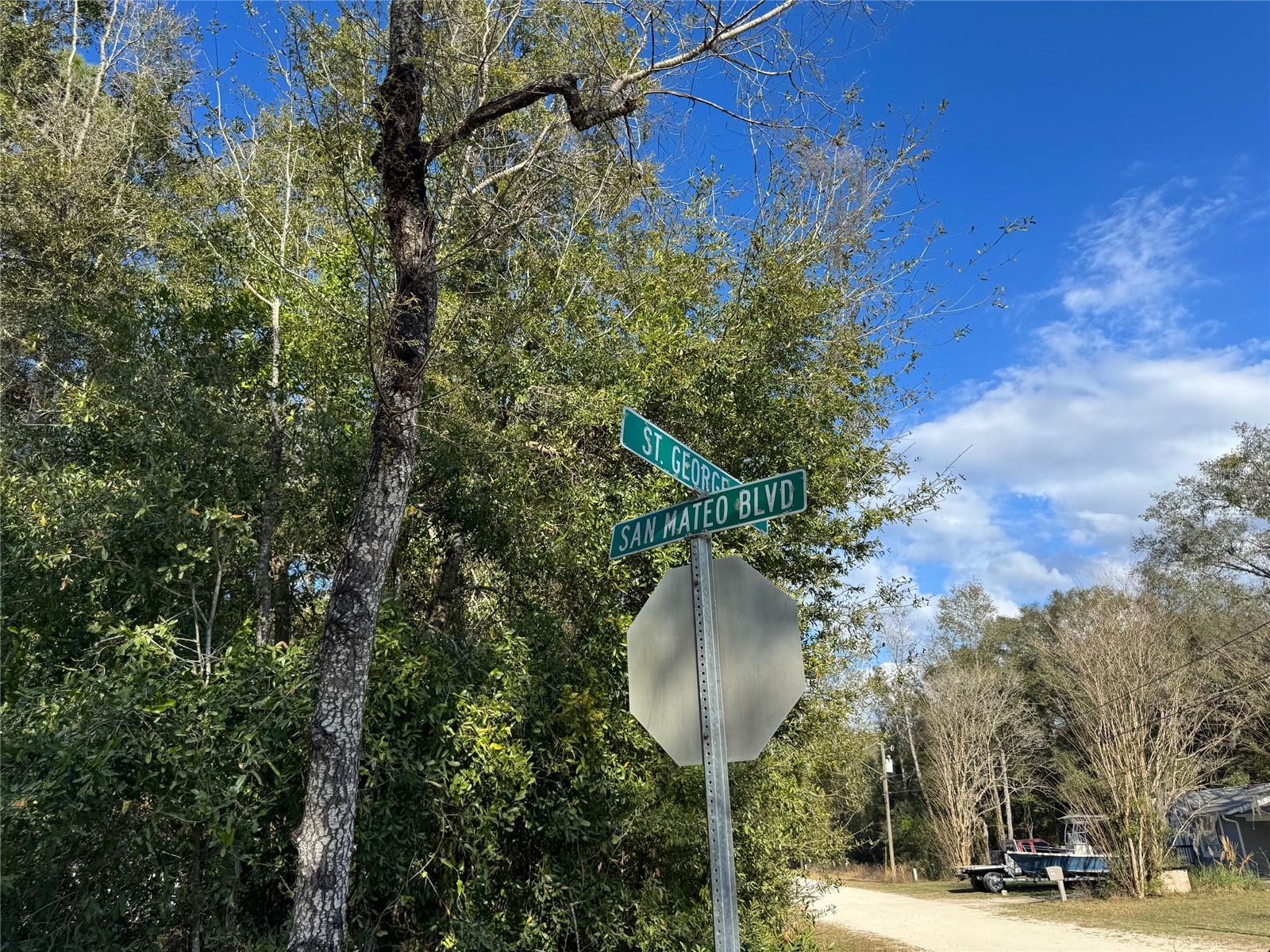 Lot 347 ST. GEORGE DR photo 2