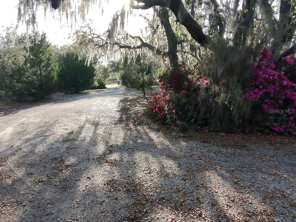 14415 COUNTY ROAD 448 photo 2