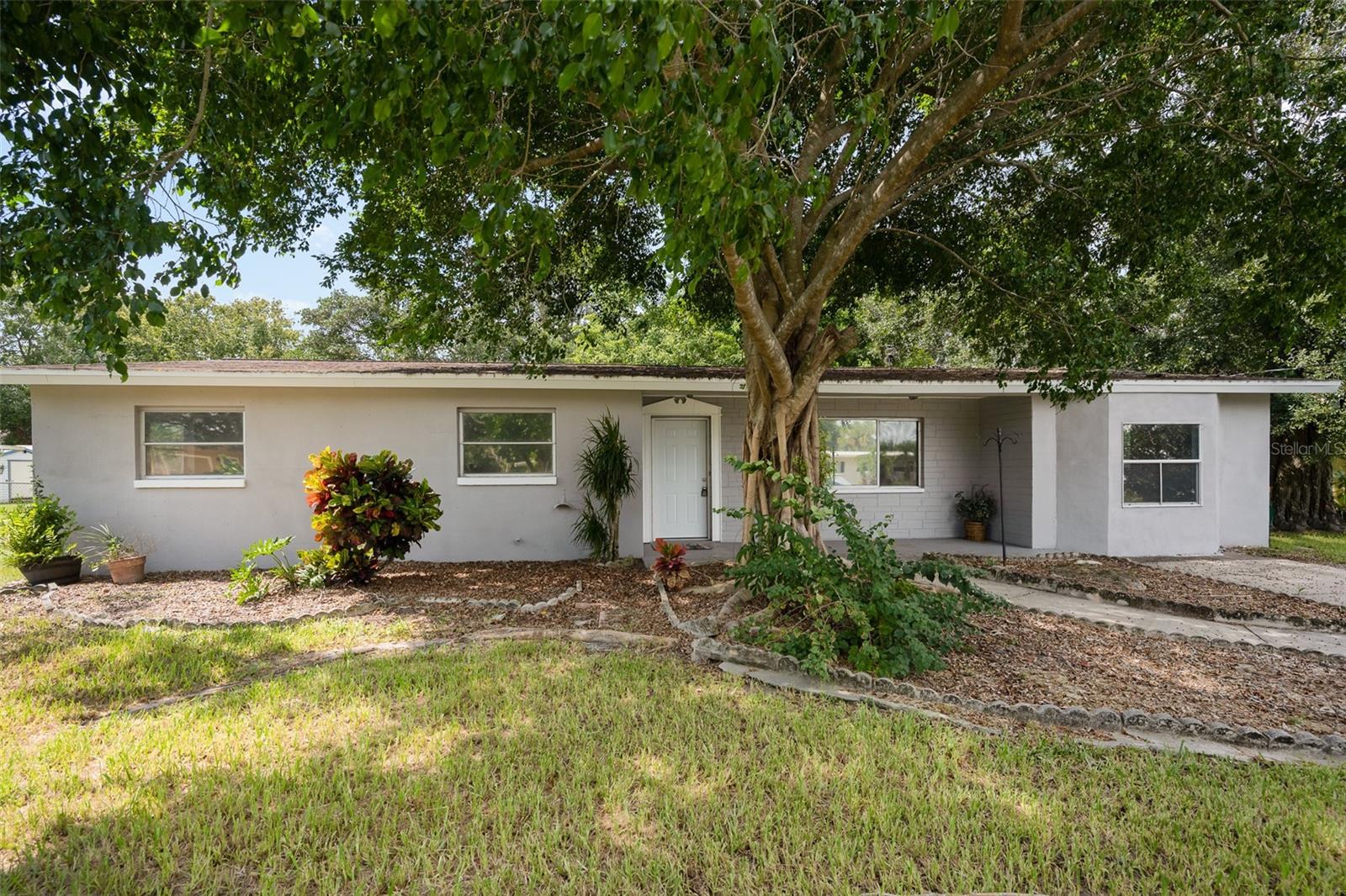 135 STEPHENSON DR photo 2