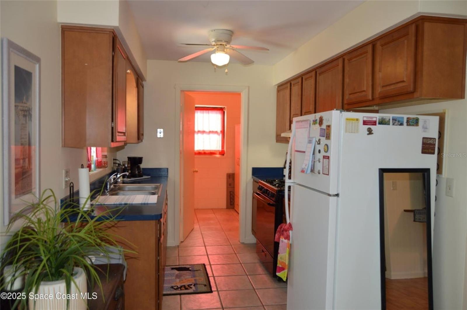 2445 DOLPHIN RD photo 4