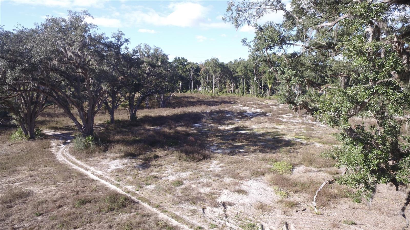 US HWY 301 TBD photo 4