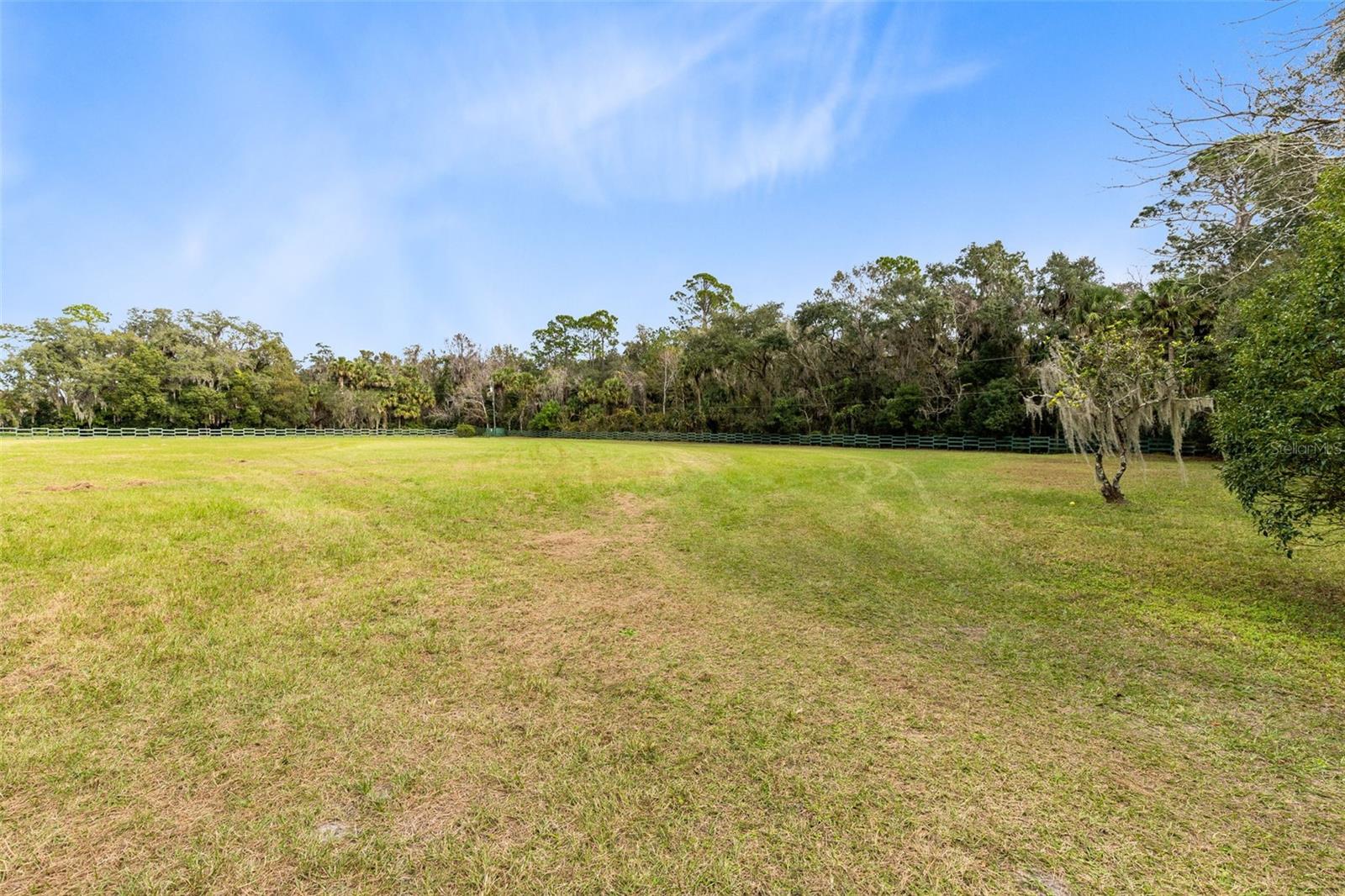 1545 PALM WAY photo 3