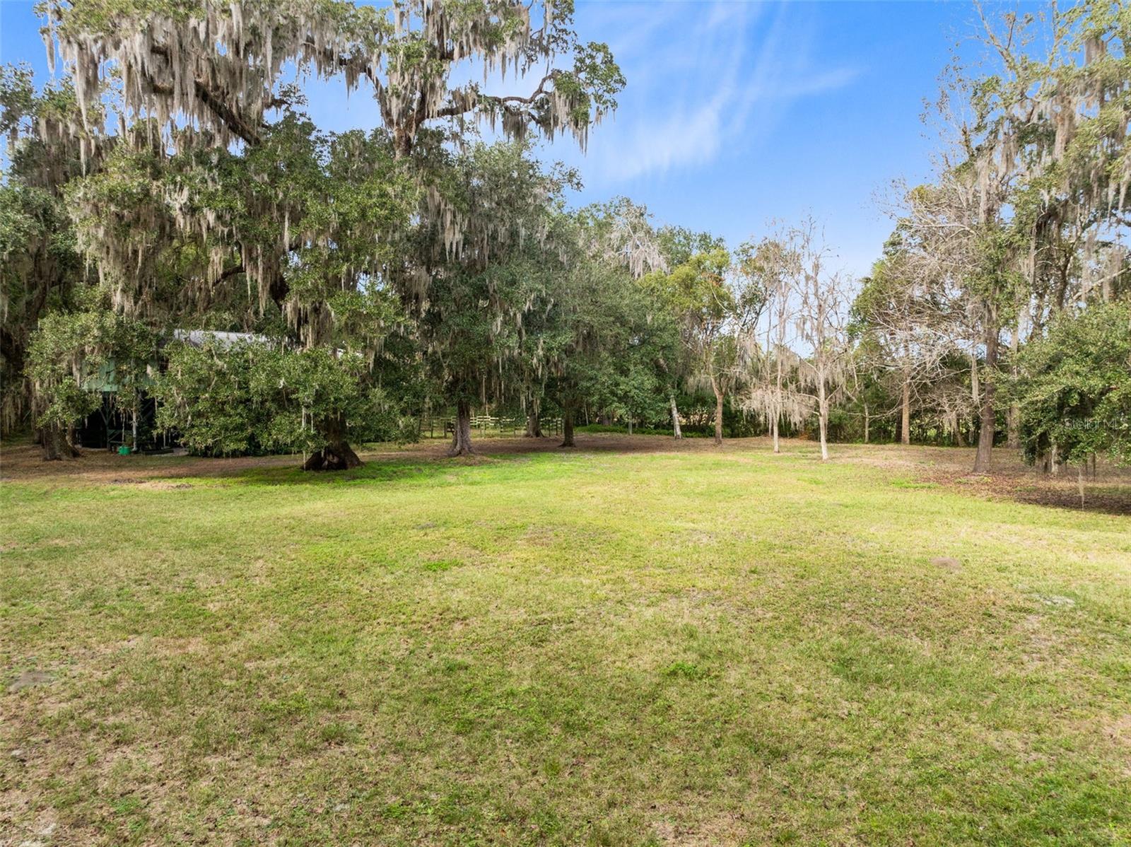 1545 PALM WAY photo 5