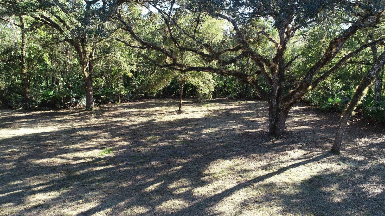 S COUNTY ROAD 13 photo 2