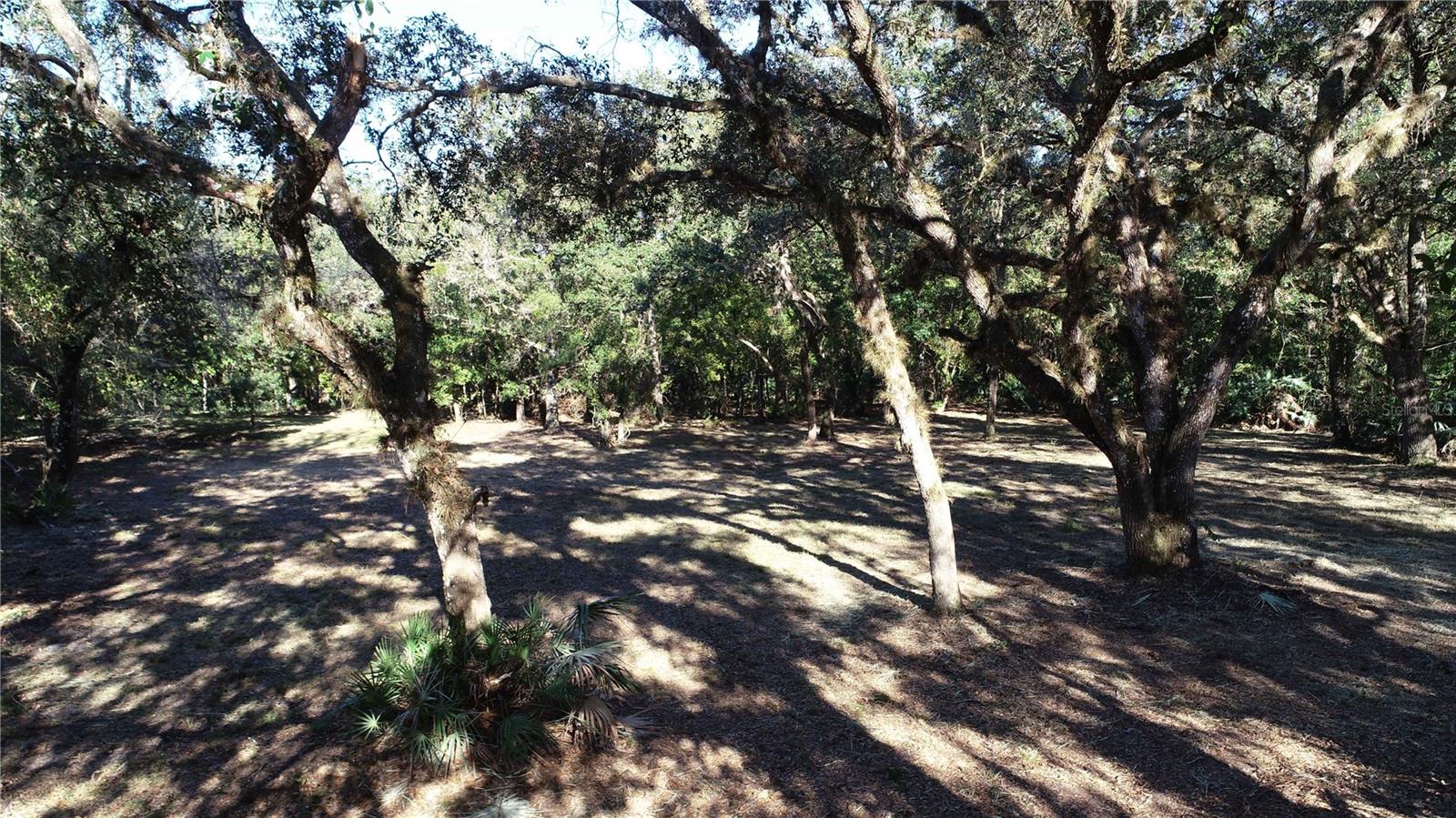 S COUNTY ROAD 13 photo 5
