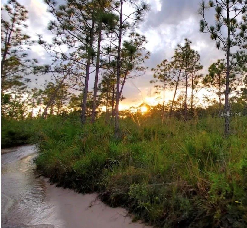 RIVER RANCH BLVD photo 4