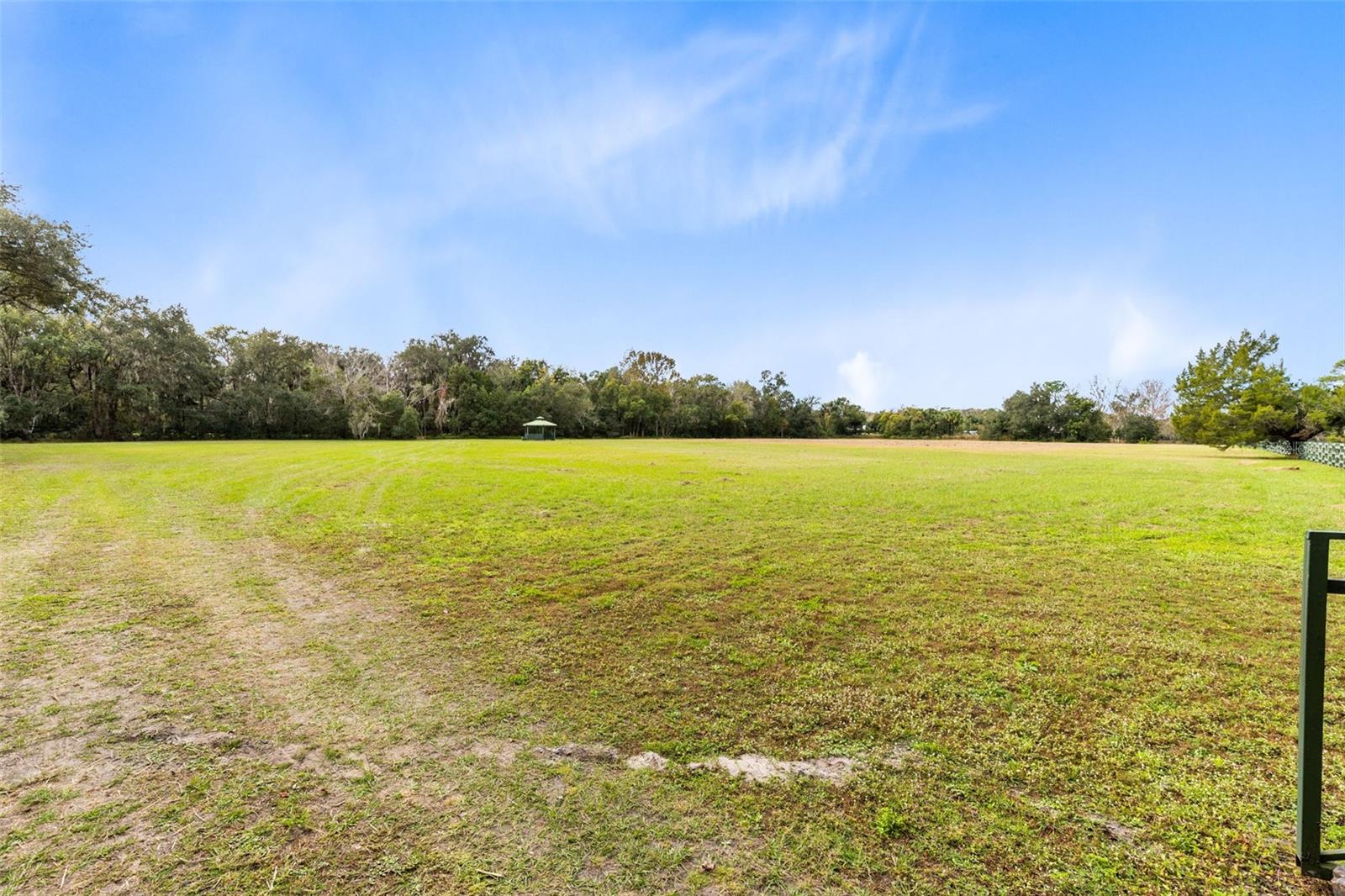 1545 PALM WAY photo 4
