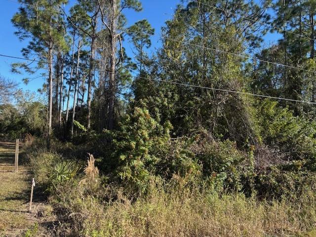 13636 SULKY DR photo 4