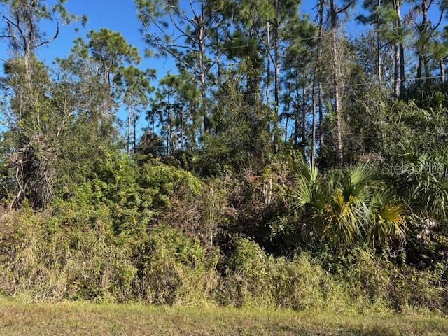 13636 SULKY DR photo 5