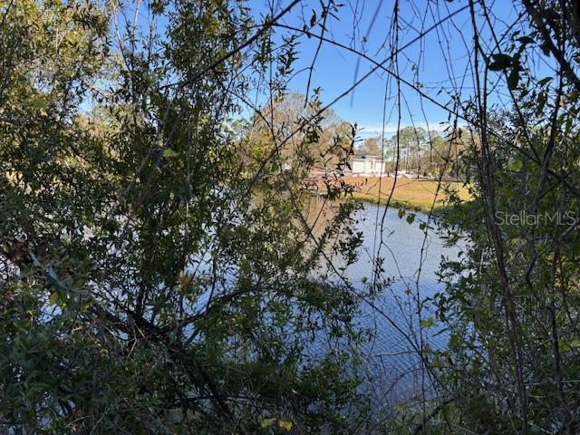 13636 SULKY DR photo 3