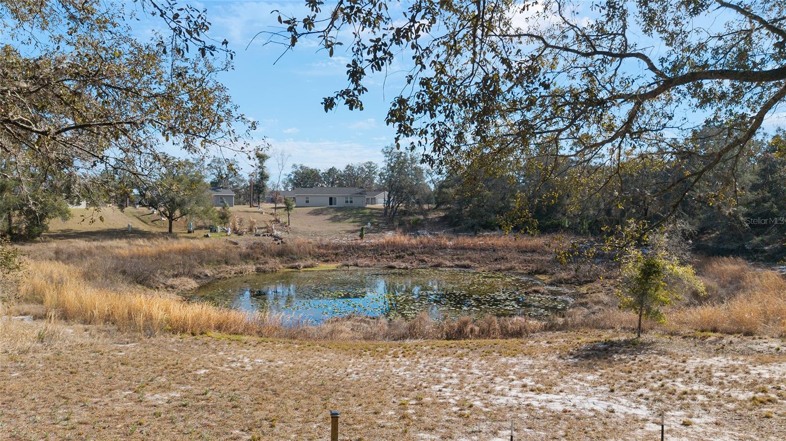 6 MALAUKA CIR photo 4