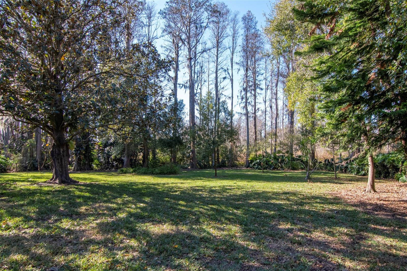 18306 PLEASANT RIDGE PL photo 3