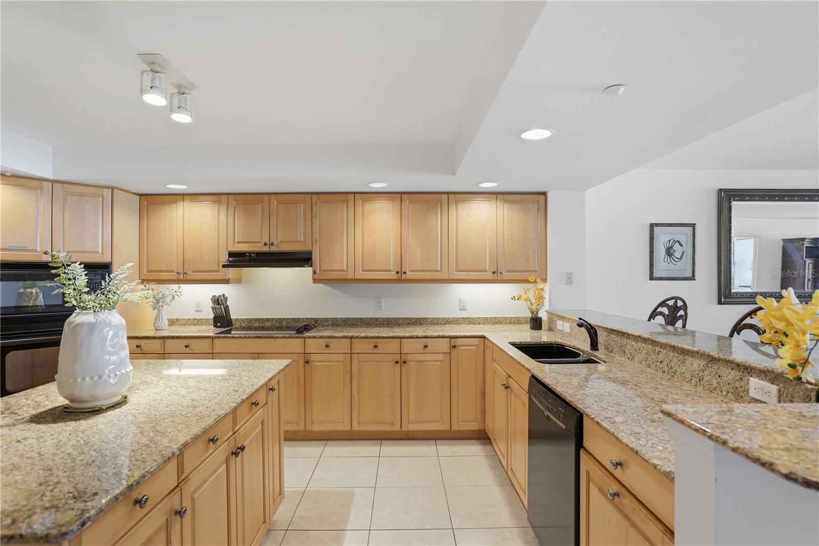 16326 GULF BLVD #307 photo 4