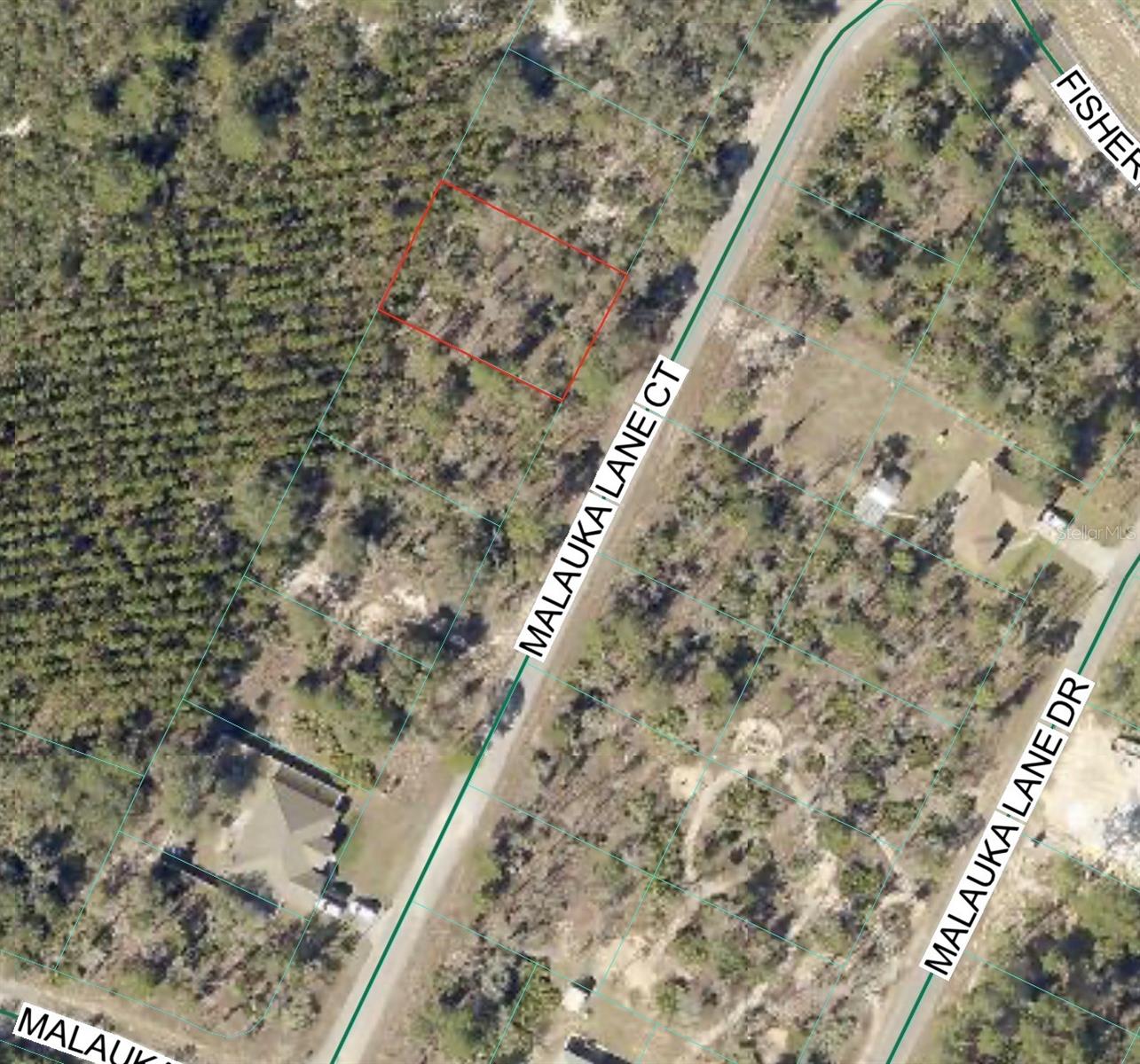 MALAUKA LANE CT photo 4