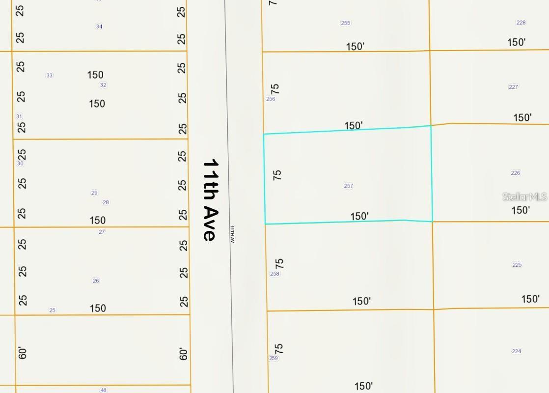 lot 257 11TH AVE photo 2