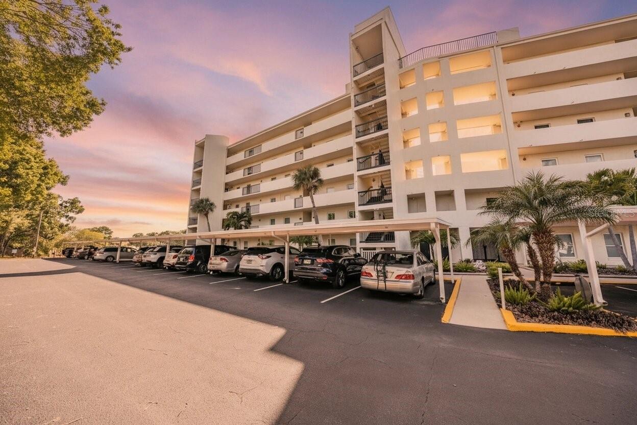 Condominium