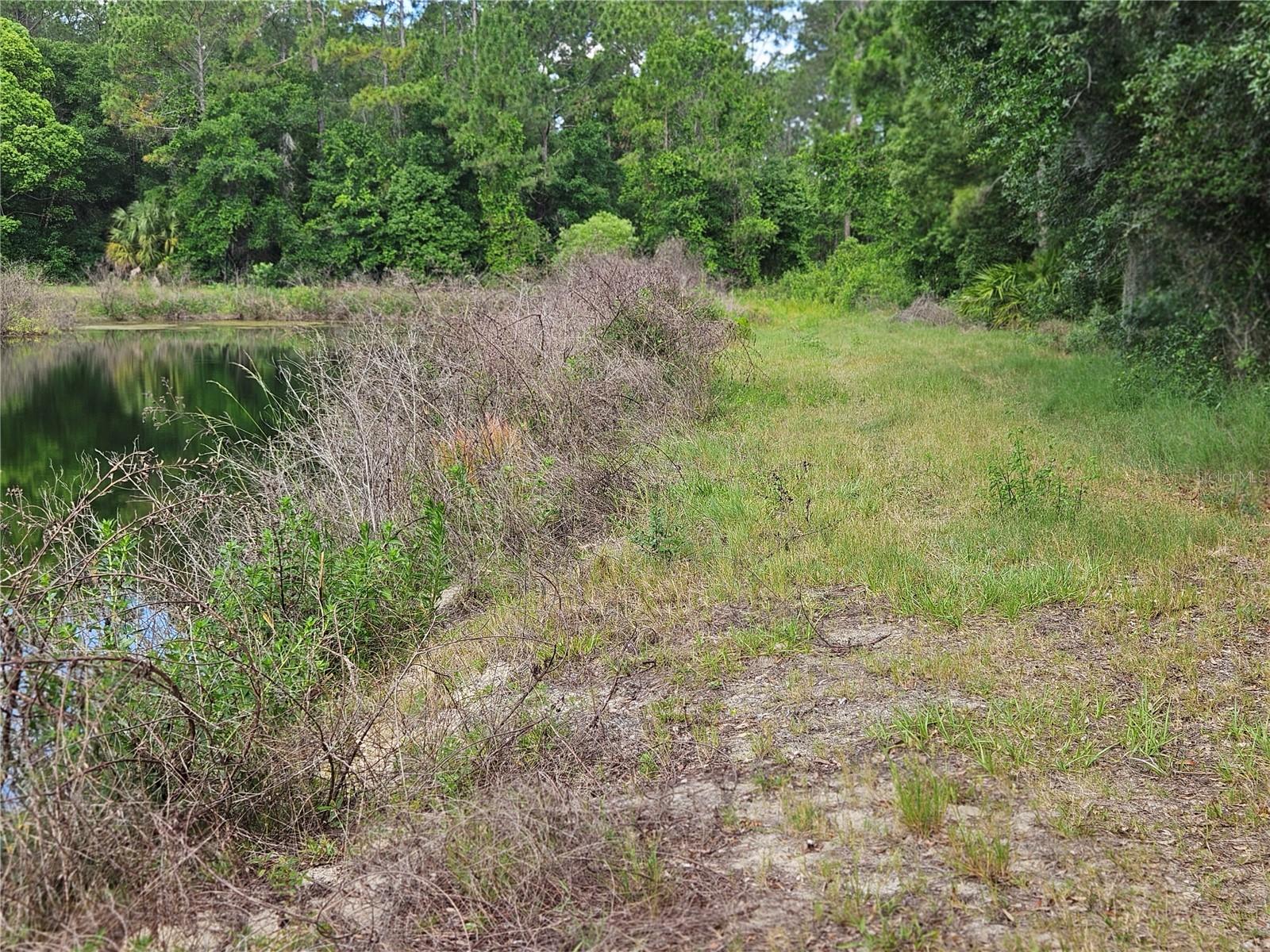 BURNSED RD photo 2