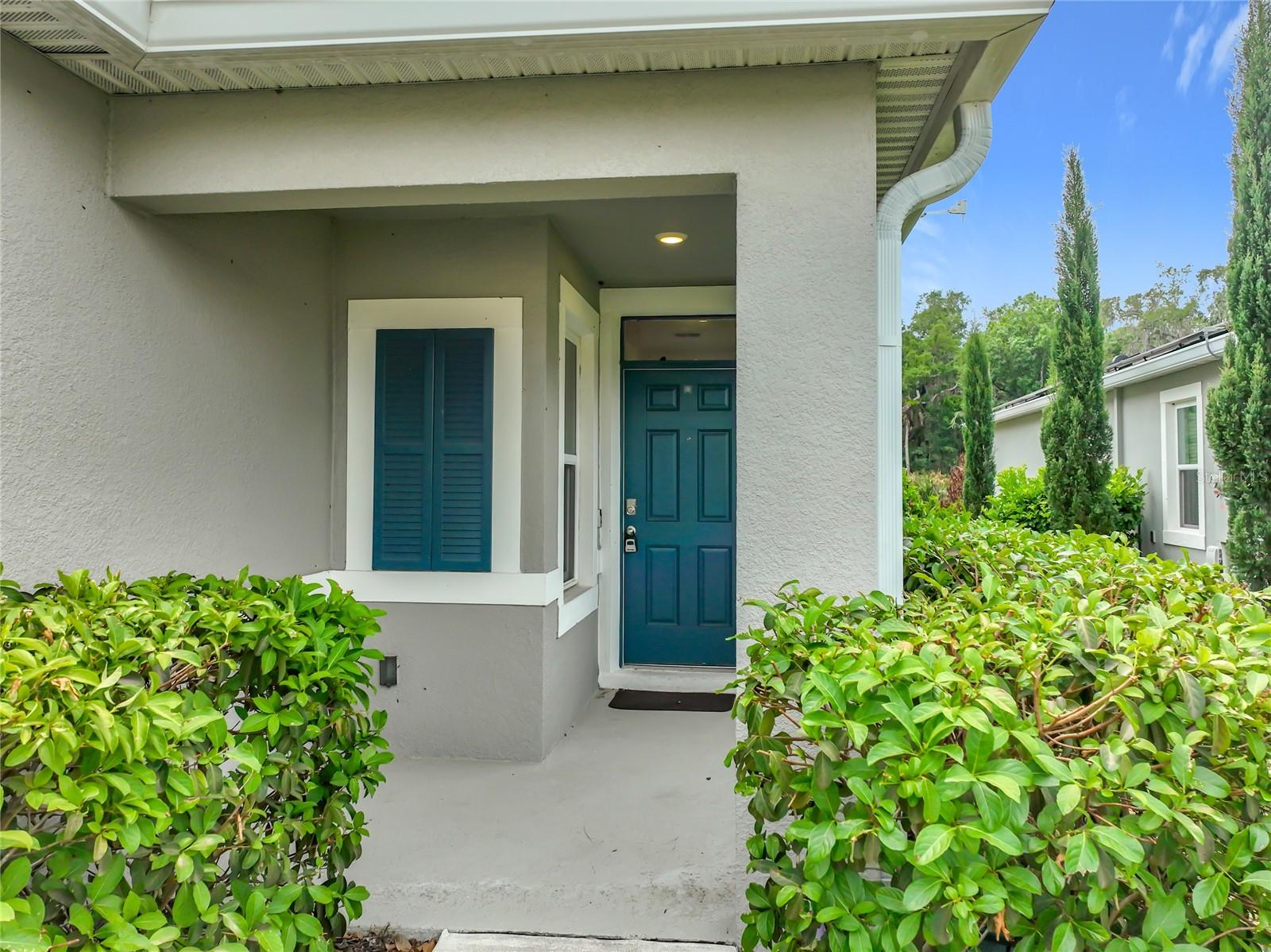 20029 ROYAL TERN CT photo 5