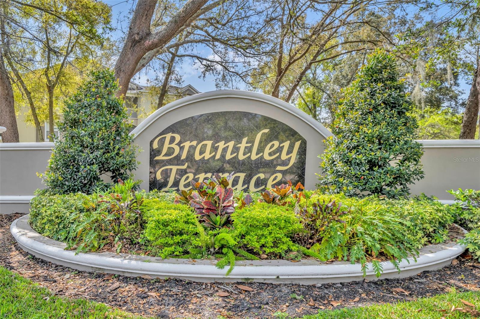 582 BRANTLEY TERRACE WAY #304 photo 4