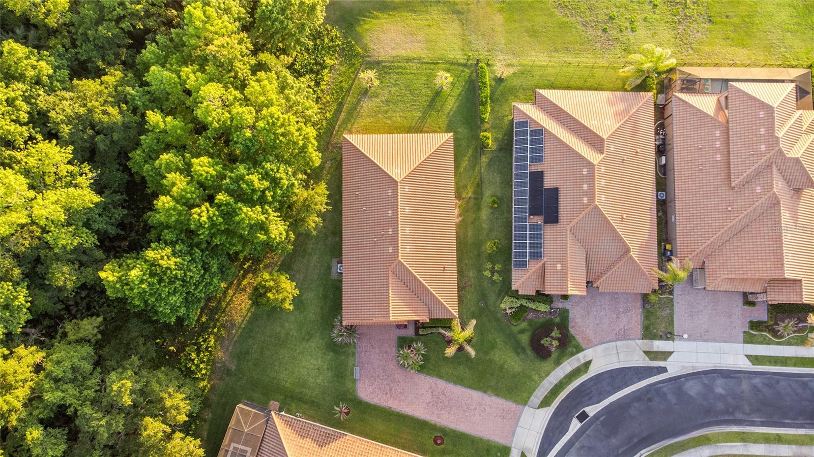 1624 NINA DR photo 4