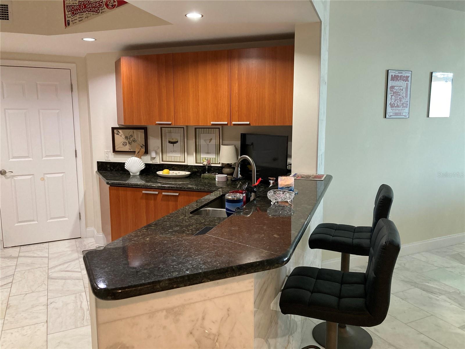 231 RIVERSIDE DR #1504-1 photo 2