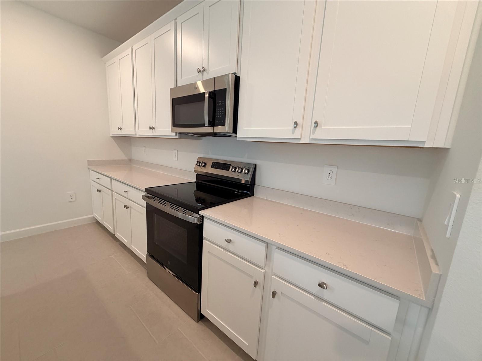 3917 PASSION VINE DR photo 5