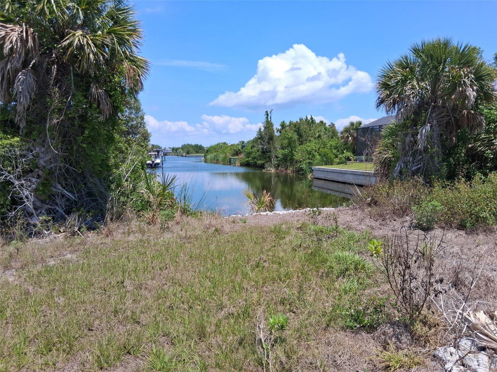 10166 KINGSVILLE DR photo 2