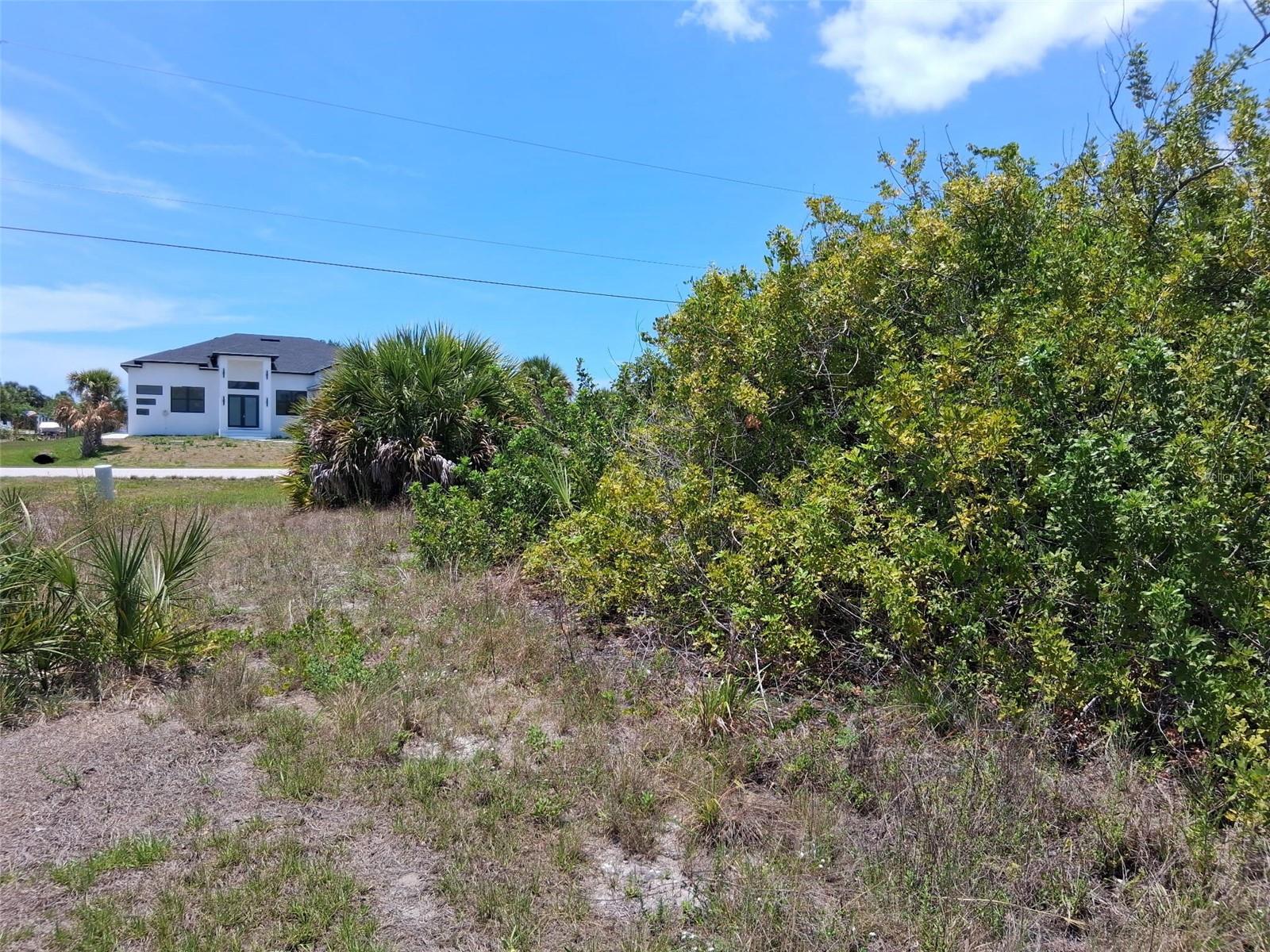 10166 KINGSVILLE DR photo 3