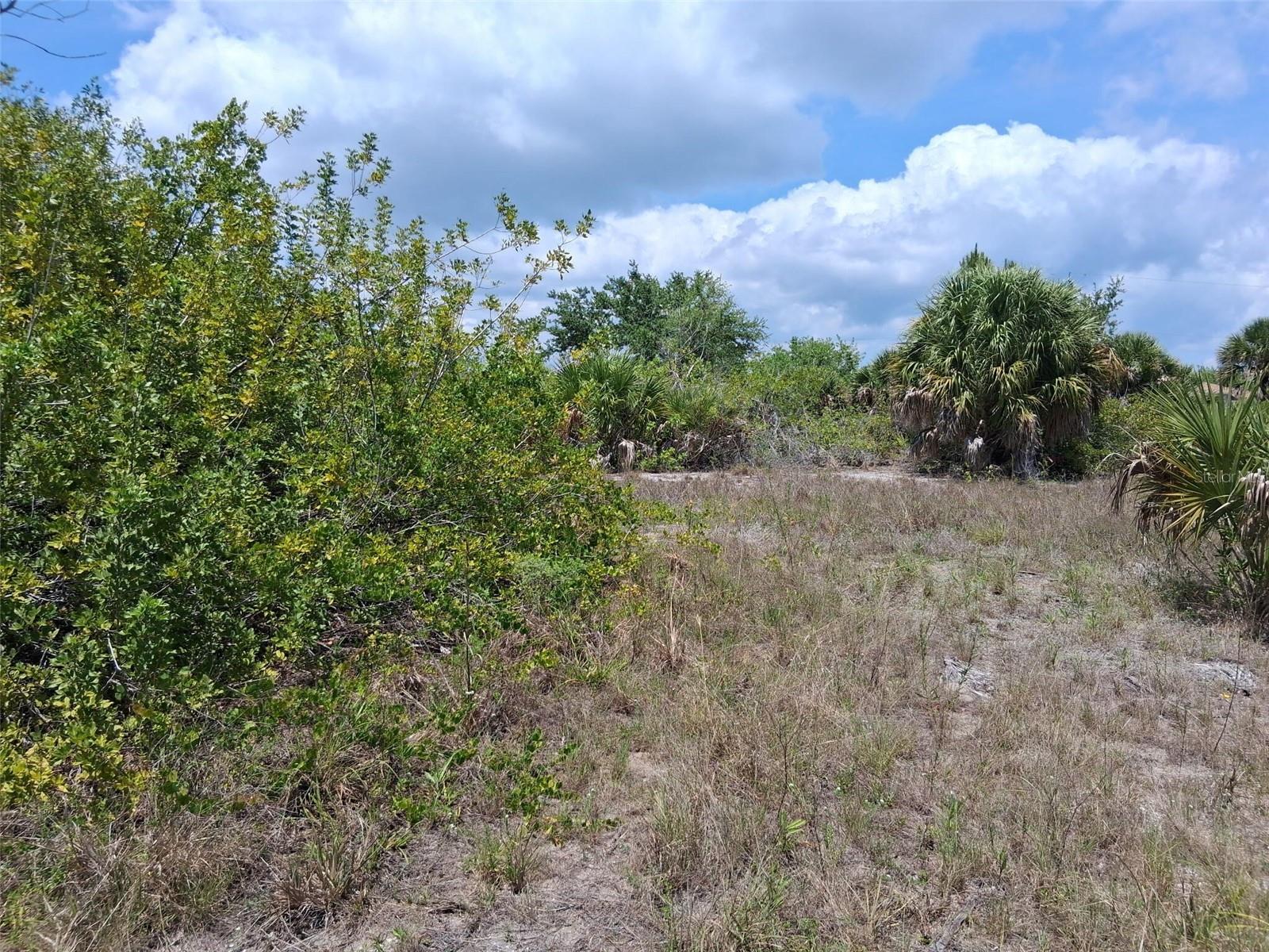 10166 KINGSVILLE DR photo 4
