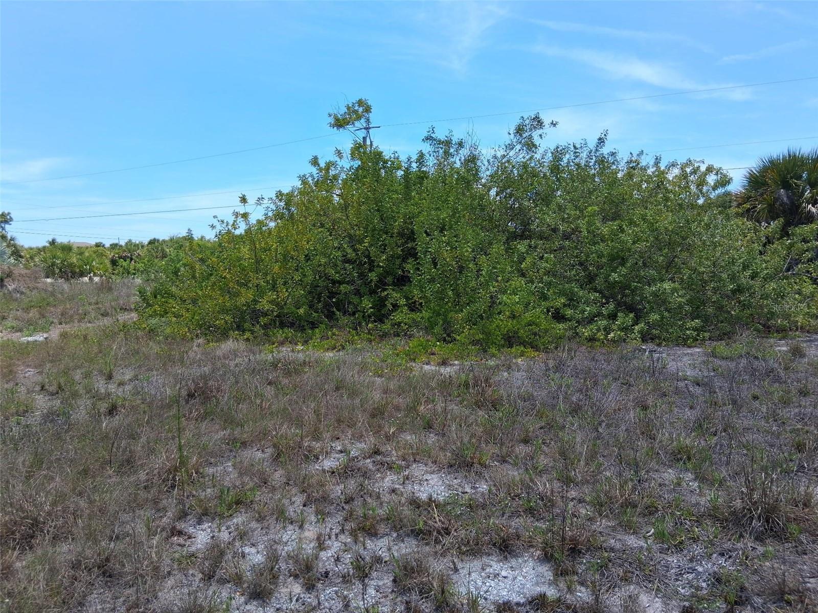 10166 KINGSVILLE DR photo 5