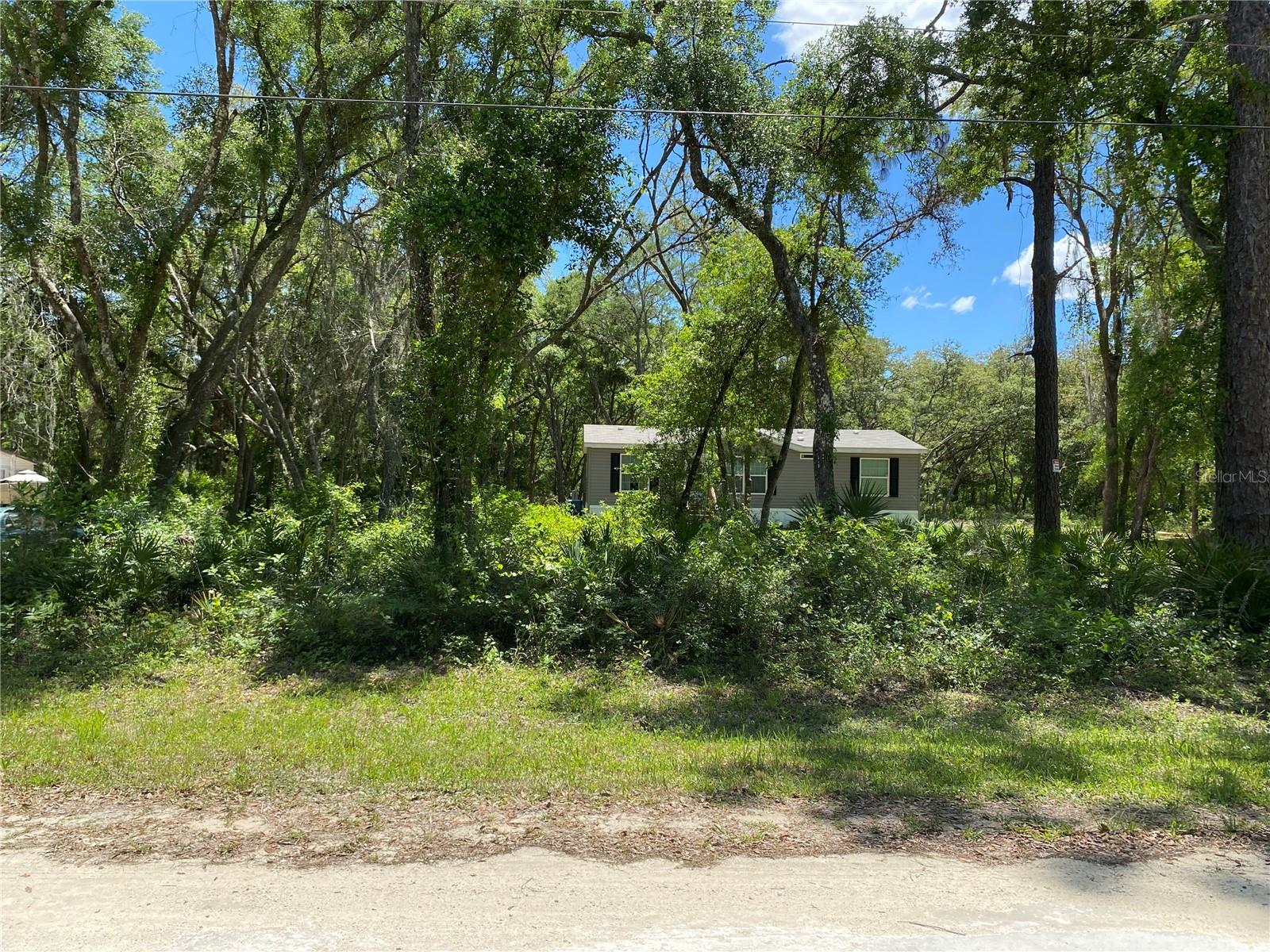 36064 BUTTERNUT DR photo 4
