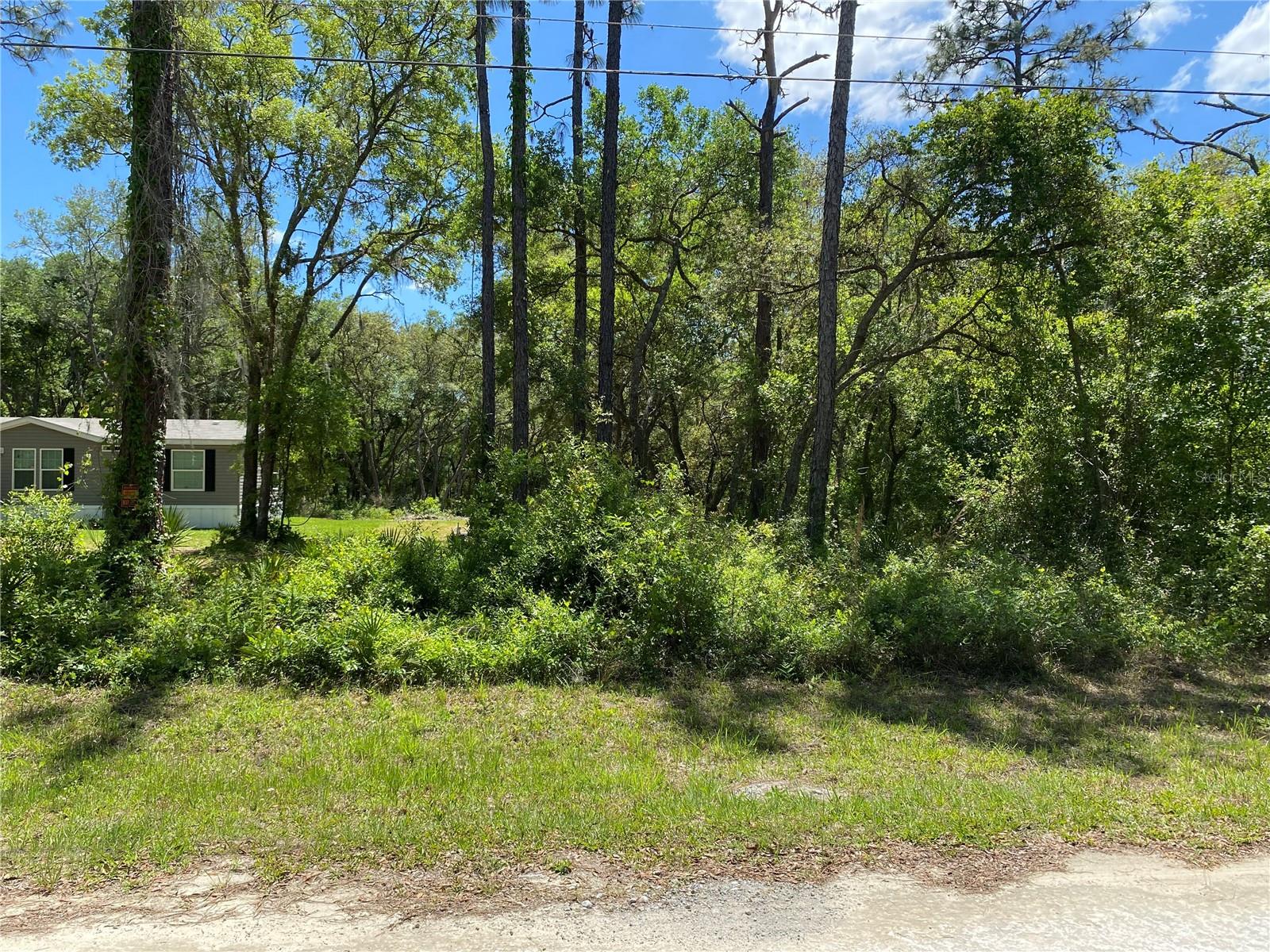 36064 BUTTERNUT DR photo 5