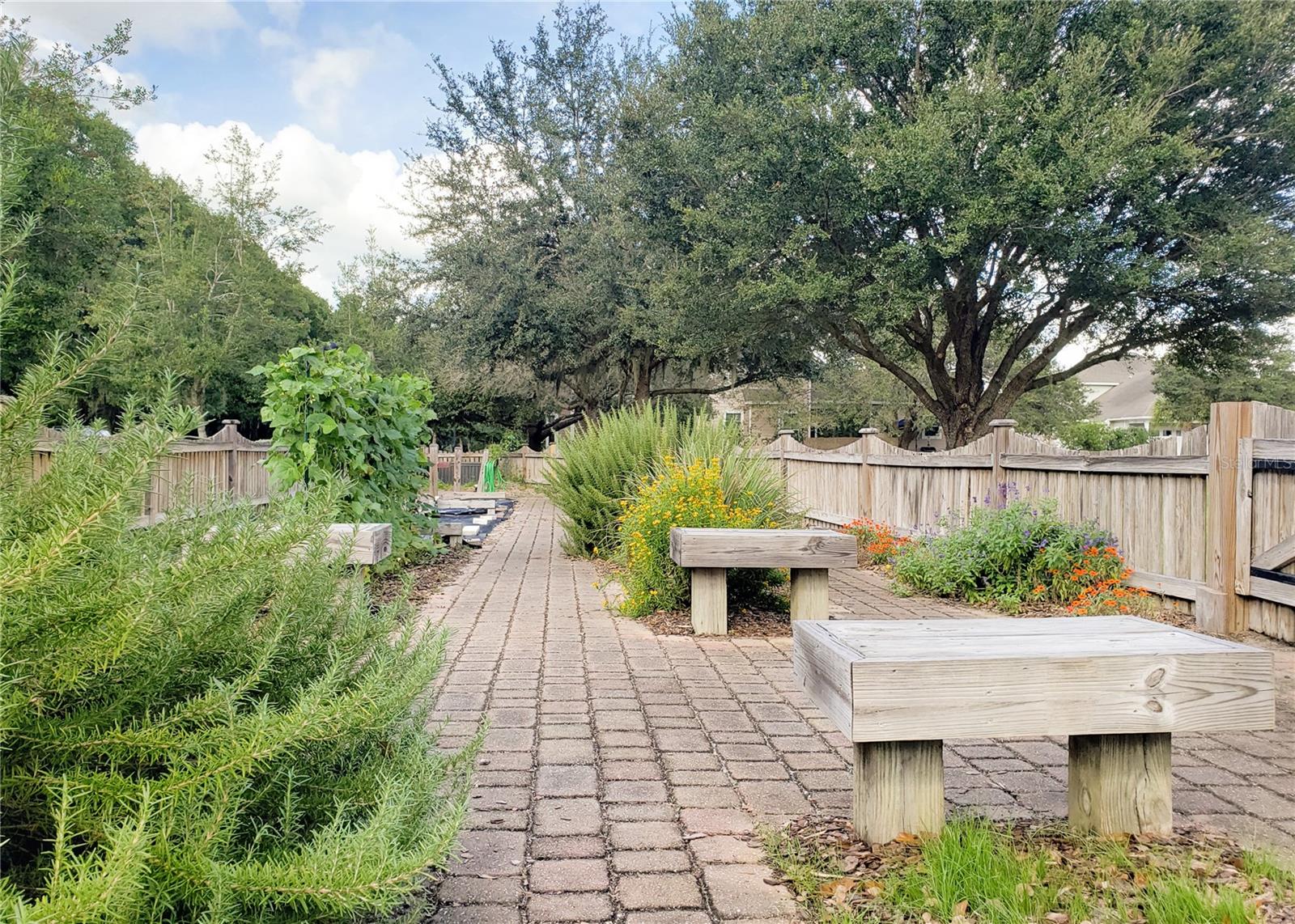 1062 SW 135TH DR photo 5