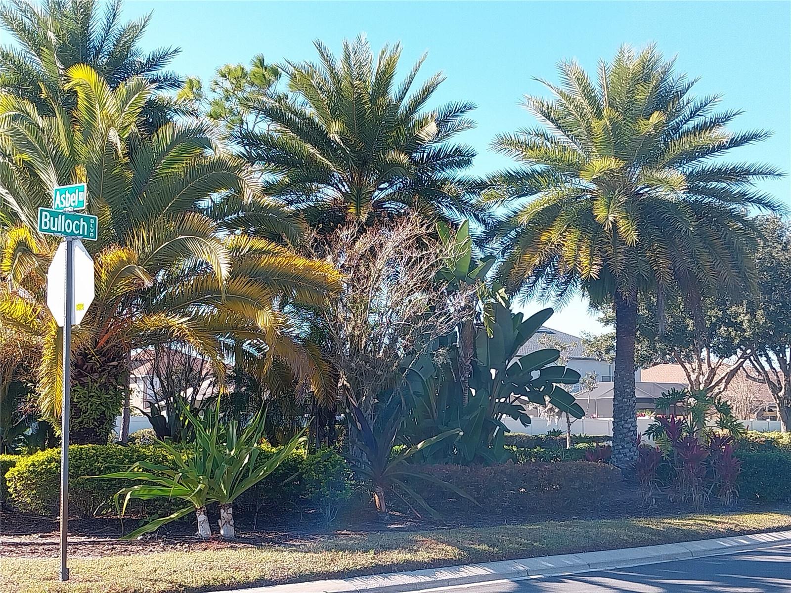 10116 PERTHSHIRE CIR photo 2