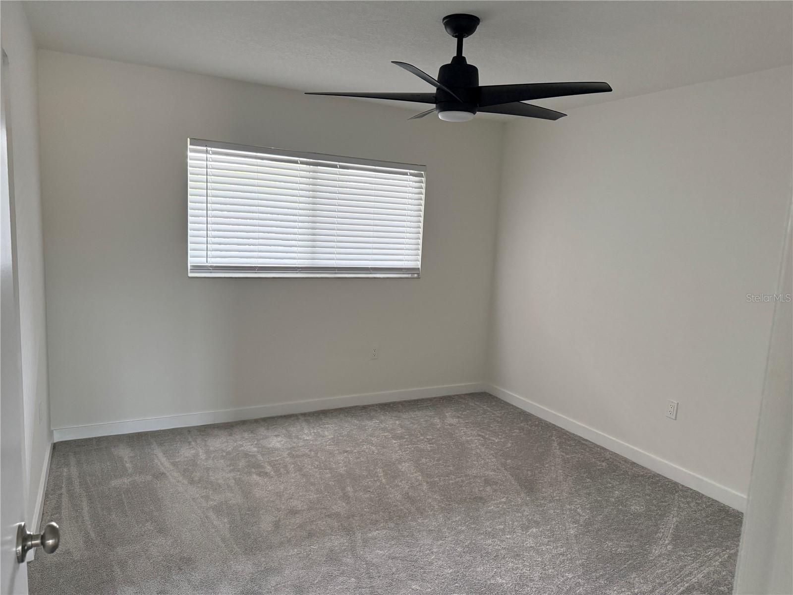 238 CHANDLER ST #203 photo 4