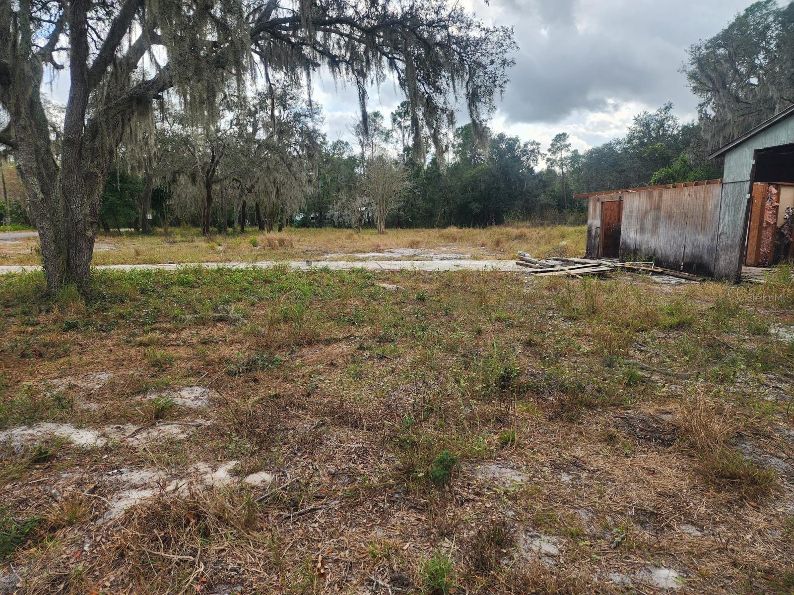 1409 WILKINSON DR photo 5