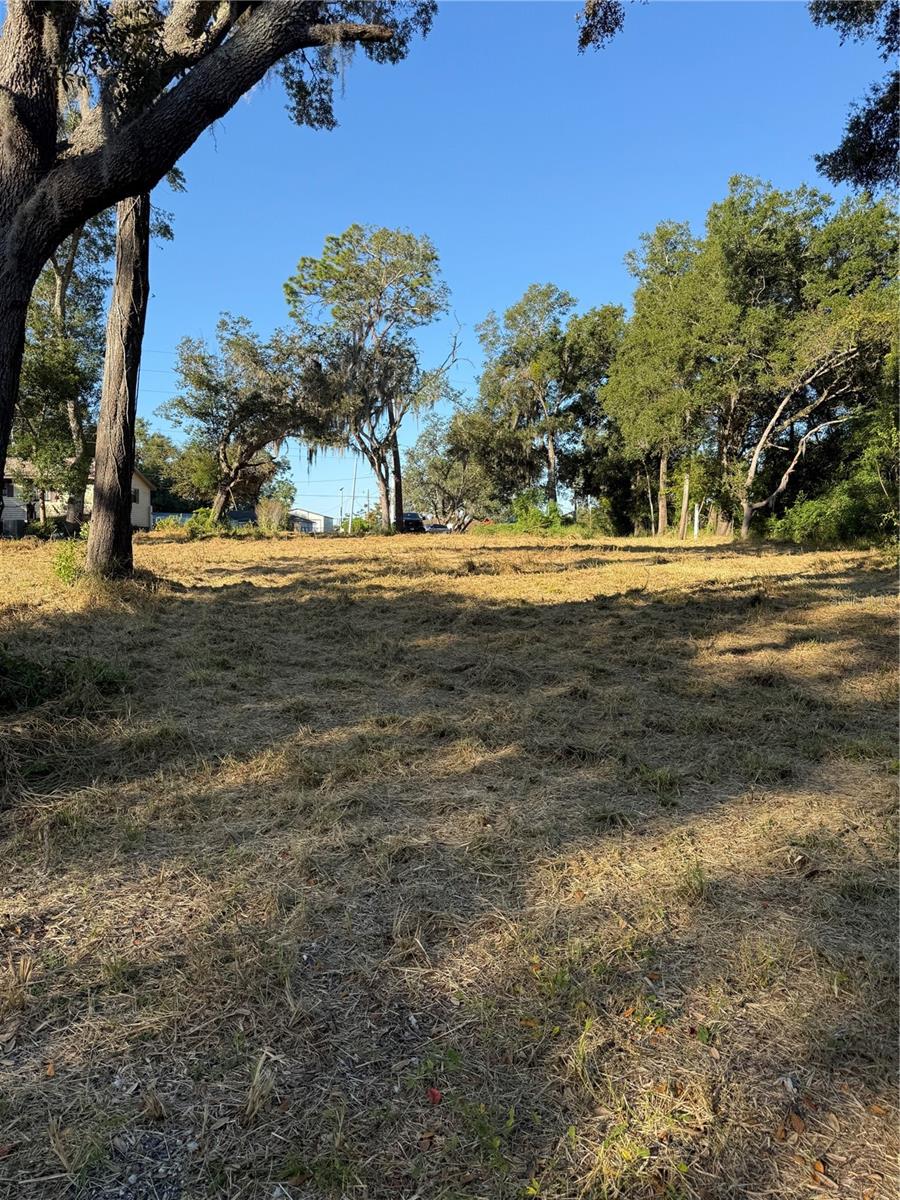 1621 CLARCONA RD photo 4