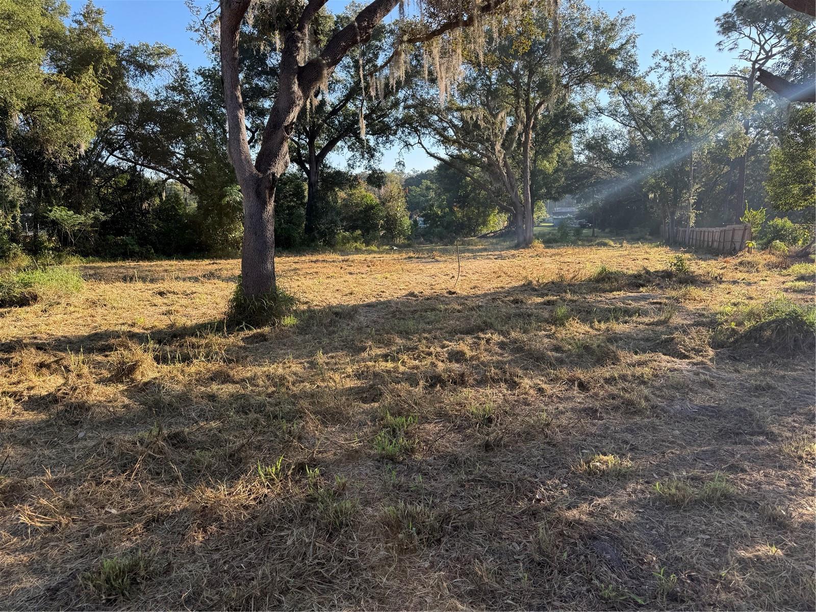 1621 CLARCONA RD photo 5