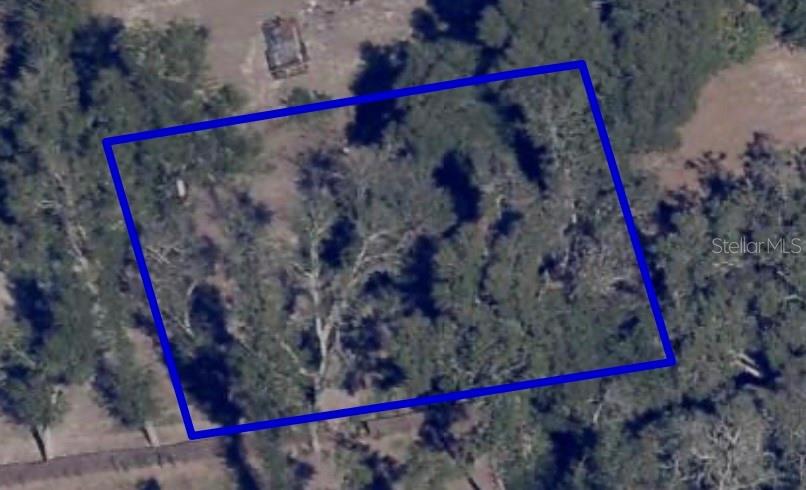1621 CLARCONA RD photo 2