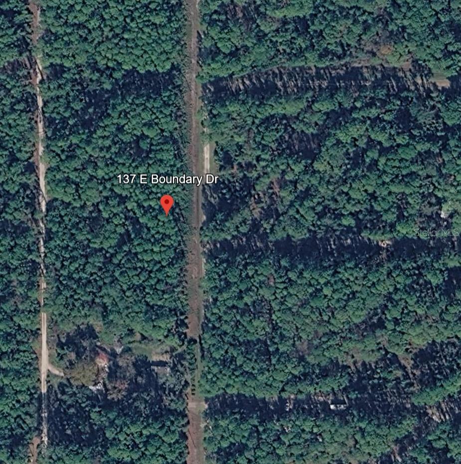 137 E BOUNDARY DR photo 3